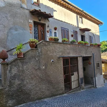 Il Vecchio Lavatoio Apartment San Martino al Cimino Exterior photo